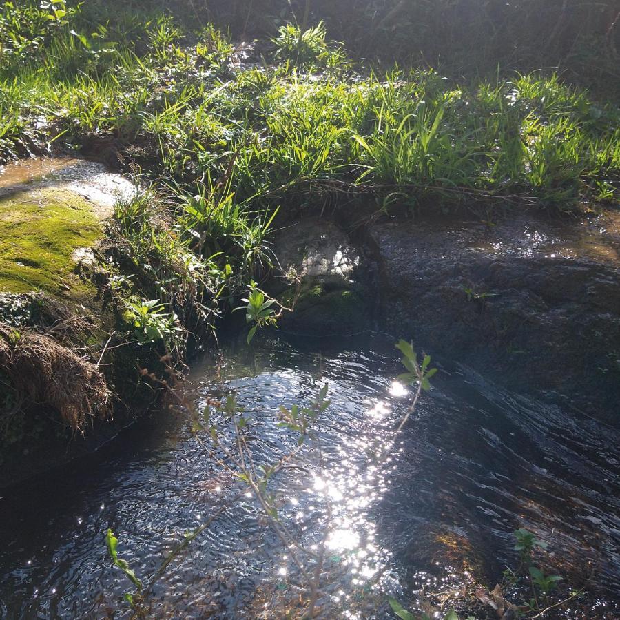 Yahoo Ecolodge Rio Rufino Luaran gambar