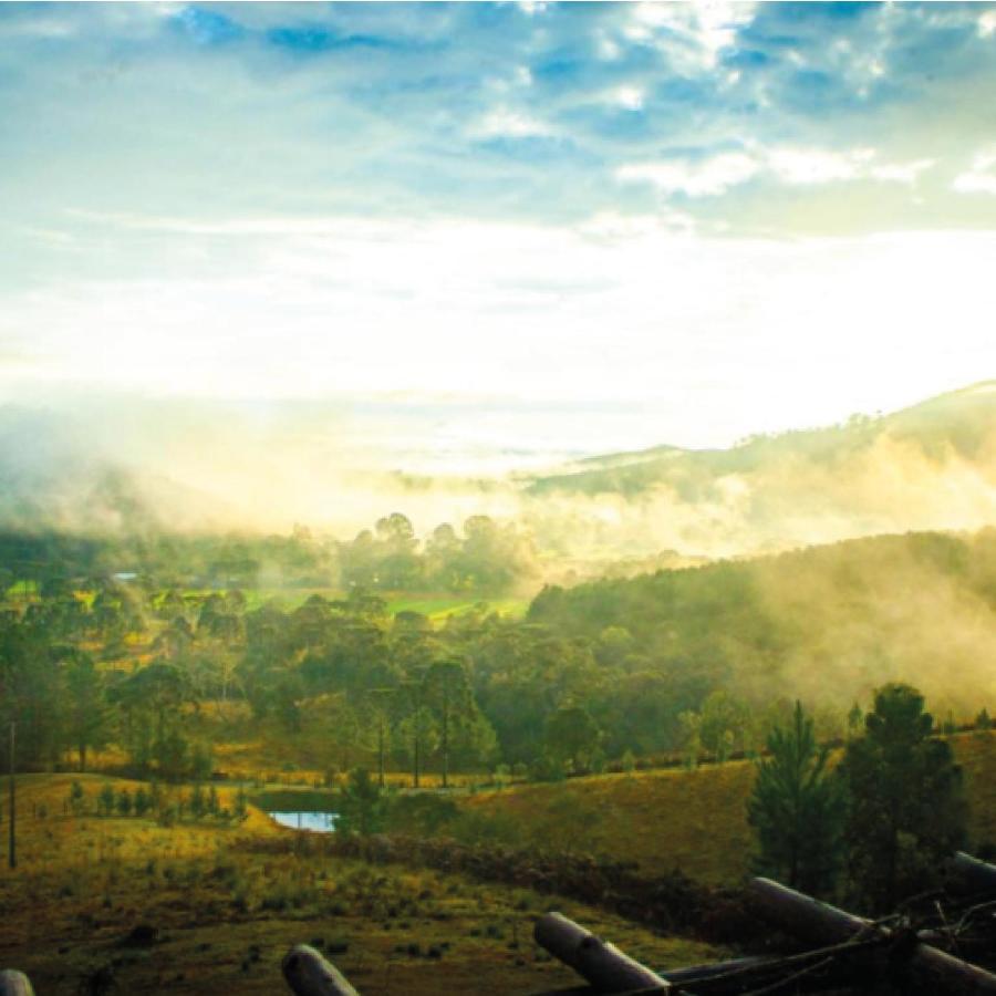 Yahoo Ecolodge Rio Rufino Luaran gambar